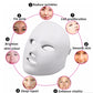 LED Facial Beauty Instrument – Light Therapy Skin Rejuvenation Device for Anti-Aging & Acne Treatment
